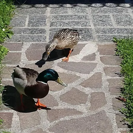 Prázdninový dům Un Passo Dal Lago *